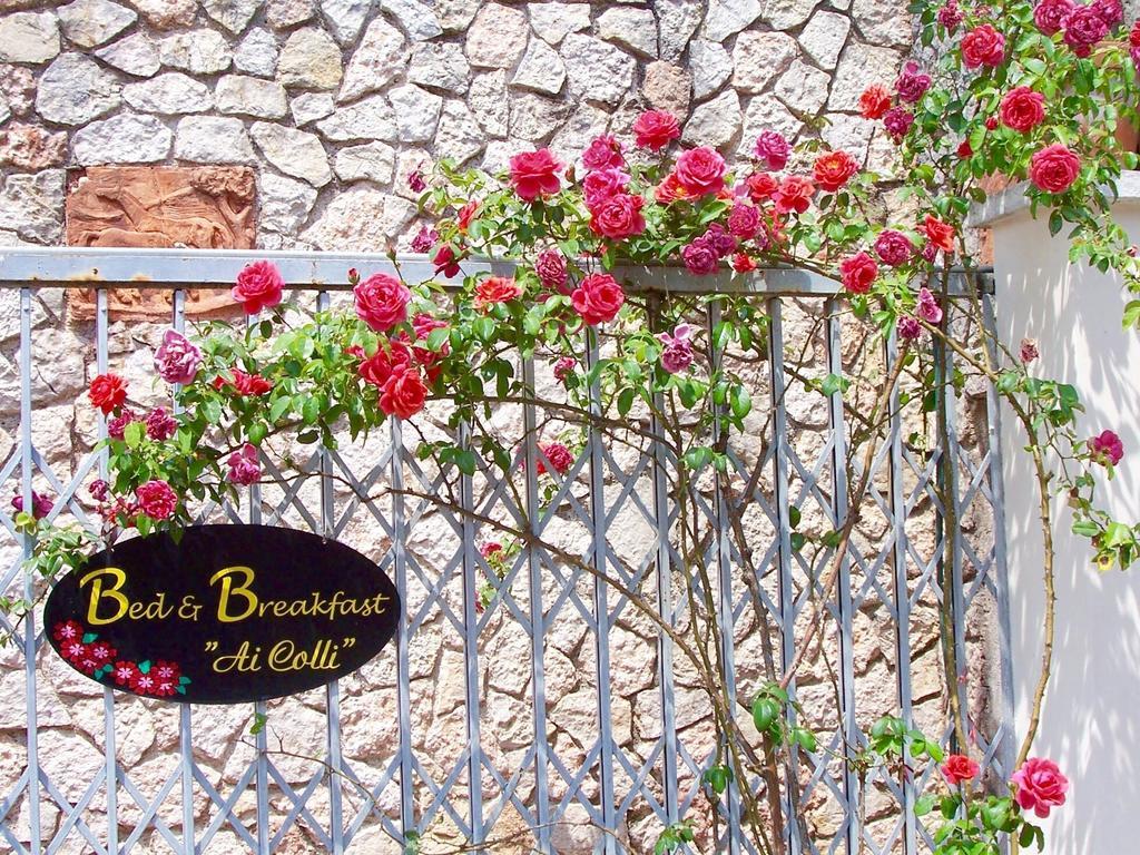 Ai Colli B&B Salò Szoba fotó